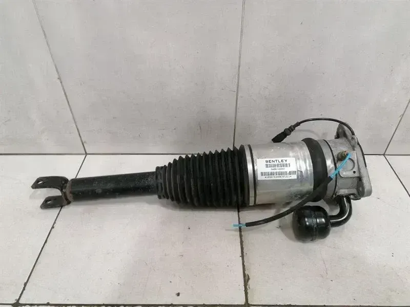 Bentley Continental GT, GTC, Flying Spur Shock Absorber Rear Bentley Continental GT W12 shock absorber rear ...