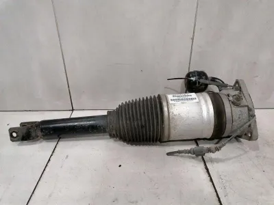 BENTLEY CONTINENTAL GT W12 Shock Absorber RLH 3W0616001B Shock Absorber Rear Li