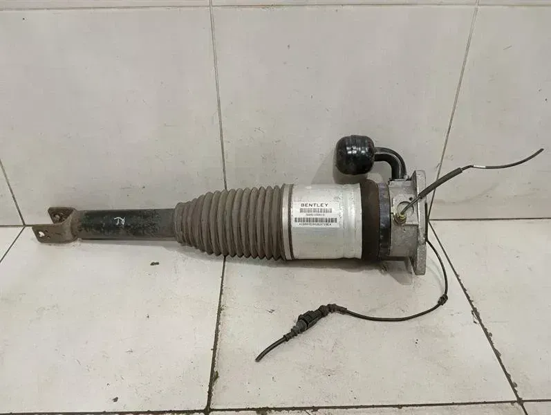 Bentley Continental GT, GTC, Flying Spur Shock Absorber Rear Bentley Continental GT W12 Shock Absorber Rear ...
