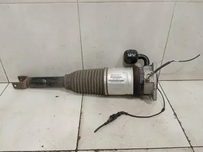 Bentley Continental GT W12 shock absorber rear 3W0616001B shock absorber rear