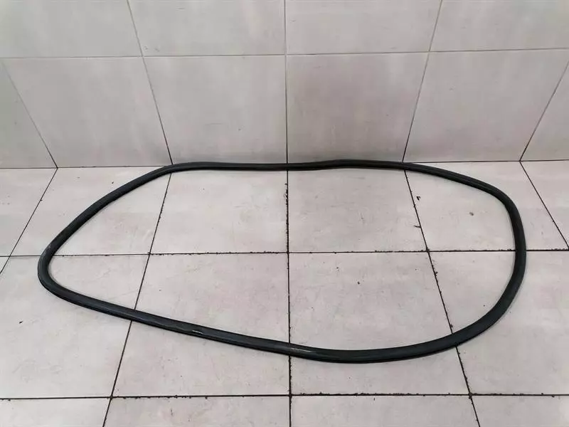 Bentley Continental GT, GTC, Flying Spur Door Seal BENTLEY FLYING TRACK MK2 13-19 FLH Door Seal 4W...