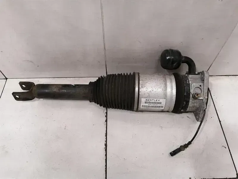Bentley Continental GT 2024-... BENTLEY CONTINENTAL GT W12 Shock Absorber RLH 3W0616001B Shock Absorber Rear Li
