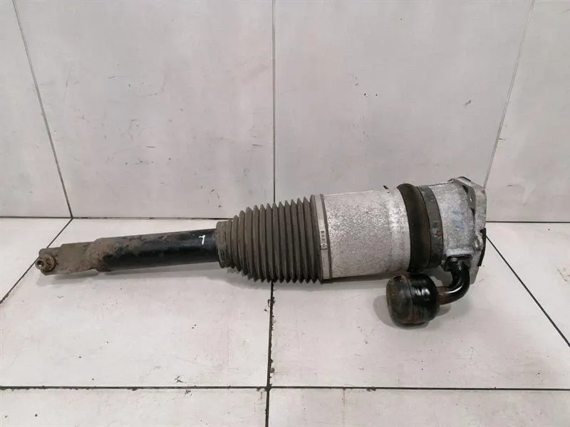 BENTLEY CONTINENTAL GT W12 Shock Absorber RLH 3W0616001B Shock Absorber Rear Li
