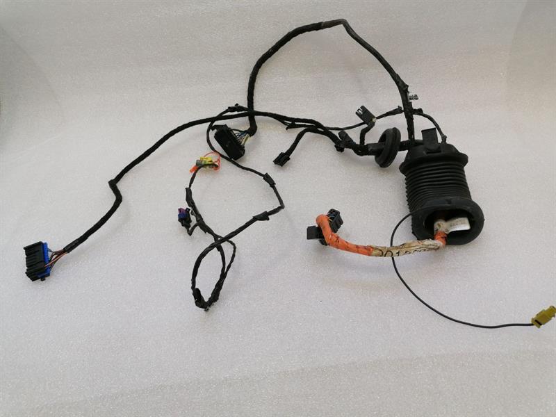Chevrolet Corvette (C6) CHEVROLET CORVETTE C6 Wiring Loom 15777014 Harness LEFT DOOR