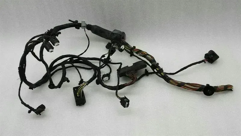 BMW 7 (F01 / F02 / F03 / F04) BMW 7 series F01 Wiring Loom F01 Wiring Harness