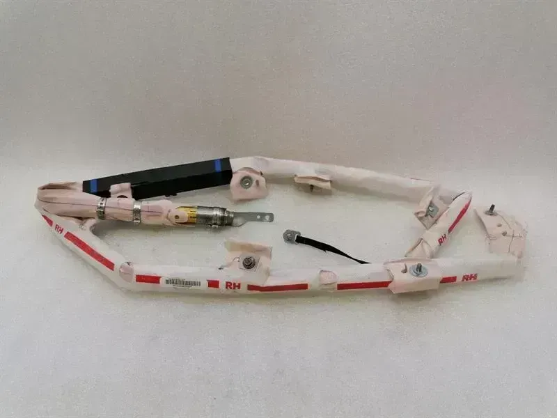 Tesla Model S Airbag (roof) TESLA MODEL S 90D Roof Module 1005262-00-D Modu...