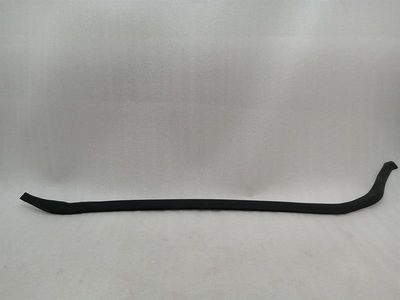 Tesla Model S 70 RLH Türdichtung 6009587-00-D Türdichtungen Hinten Links