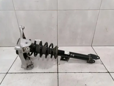 Tesla Model 3 Standard Range Shock Absorber Front 1044369-01-F Преден амортисьор