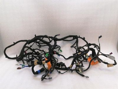 JAGUAR i-PACE X590 EV400 galvenais vadu bloks M9D3-14401-YC Kabelbaum
