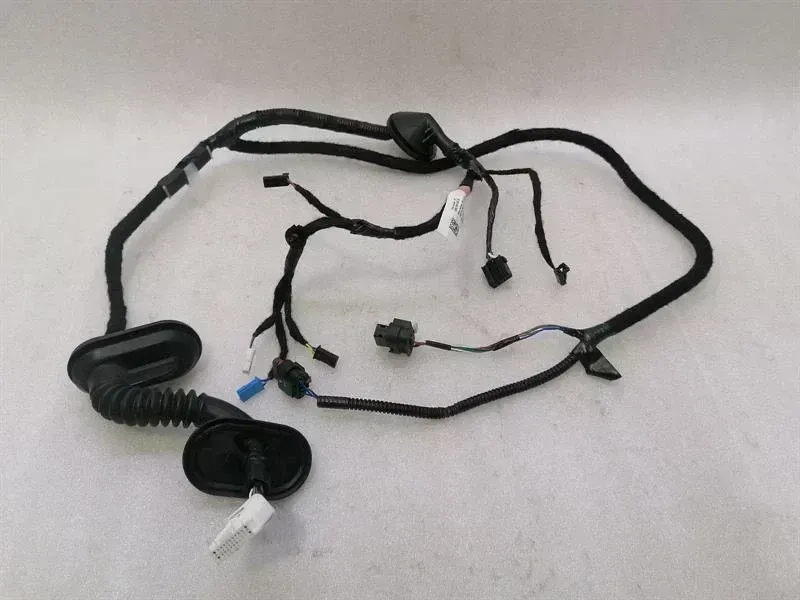 Tesla Model 3 Tesla Model 3 Standard Range RLH Door Wiring 2067965-00-B Rear L Door Harness Body type: Hatchback
Fuel: ELECTRIC