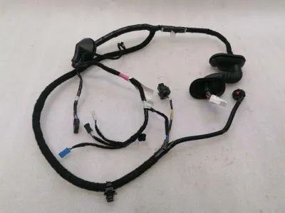 TESLA MODEL 3 STANDARD RANGE RRH durvju elektroinstalācijas loks 2067966-00-B Tur Hi Harness
