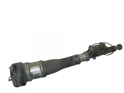 C086106 Stoßdämpfer Hinten Links MERCEDES-BENZ S-KLASSE (W221) (2005-2013)