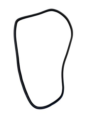 GENUINE Land Rover Range Rover Sport L320 REAR DOOR RUBBER WEATHERSTRIP SEAL