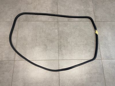 ÄKTA BMW X5 E70 Dörr Väderlist tätningspackning på karosssidan Bak LH eller RH