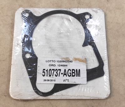 BMW E81 E87 E46 E90 E91 E39 E60 E61 E38 E83 E53 E70 E71 Water Pump Gasket