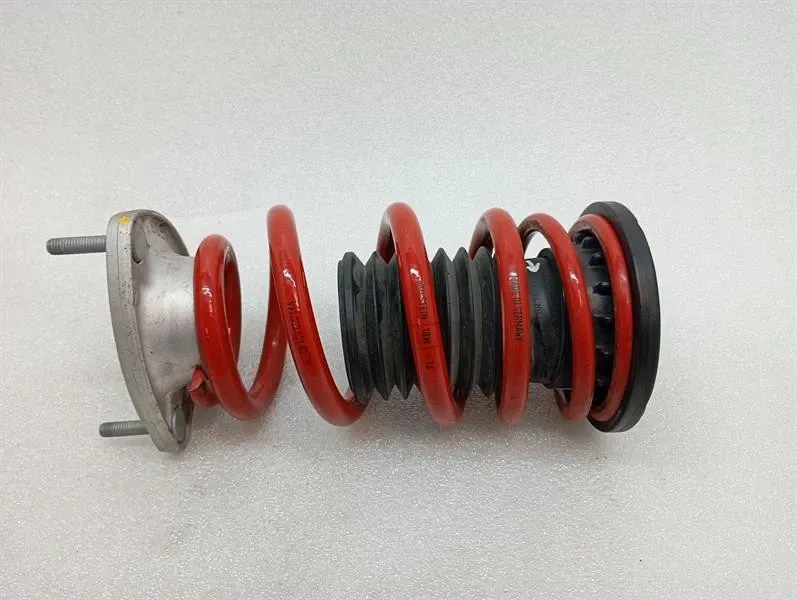 Porsche 911 991 GT3RS shock absorber rear 99133353182 parts shock absorber rear -