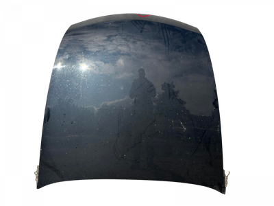 5330150080 Bonnet LEXUS LS (_F4_) (04.06-)