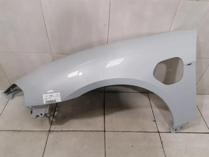 Porsche Taycan 9J Left Wing 9J1821101AY WITH POWER DOOR Left Fender-