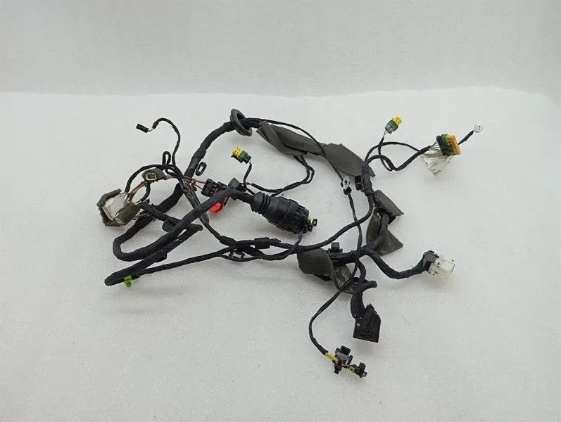 Ferrari 599 GTB F141 Wiring Loom 226232 RH DOOR Wiring Harness-
