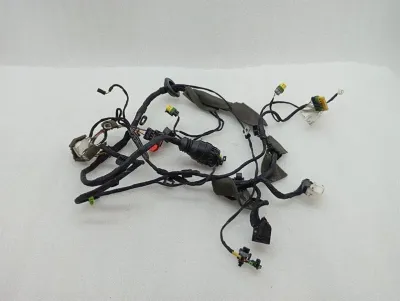 Ferrari 599 GTB F141 Wiring Loom 226232 RH DOOR Wiring Harness-