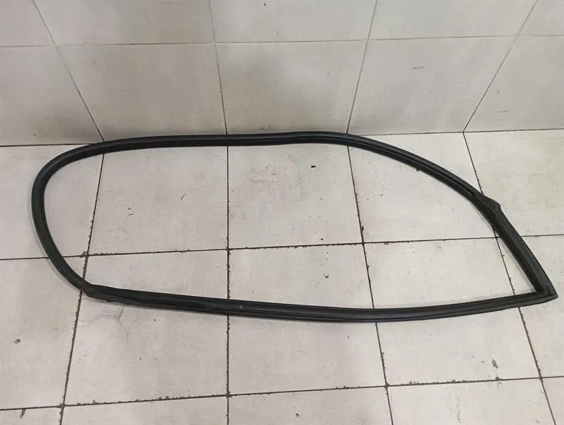 Ferrari 599 GTB F141 Door Seal 68579100 RH Right Door Seals-