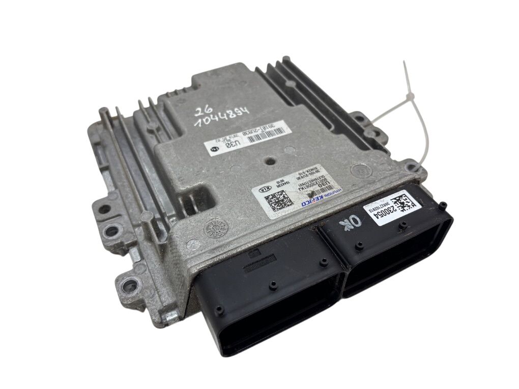 391012U930 Engine Control Unit / module (ECU) KIA SPORTAGE IV (QL) (2015-2021)