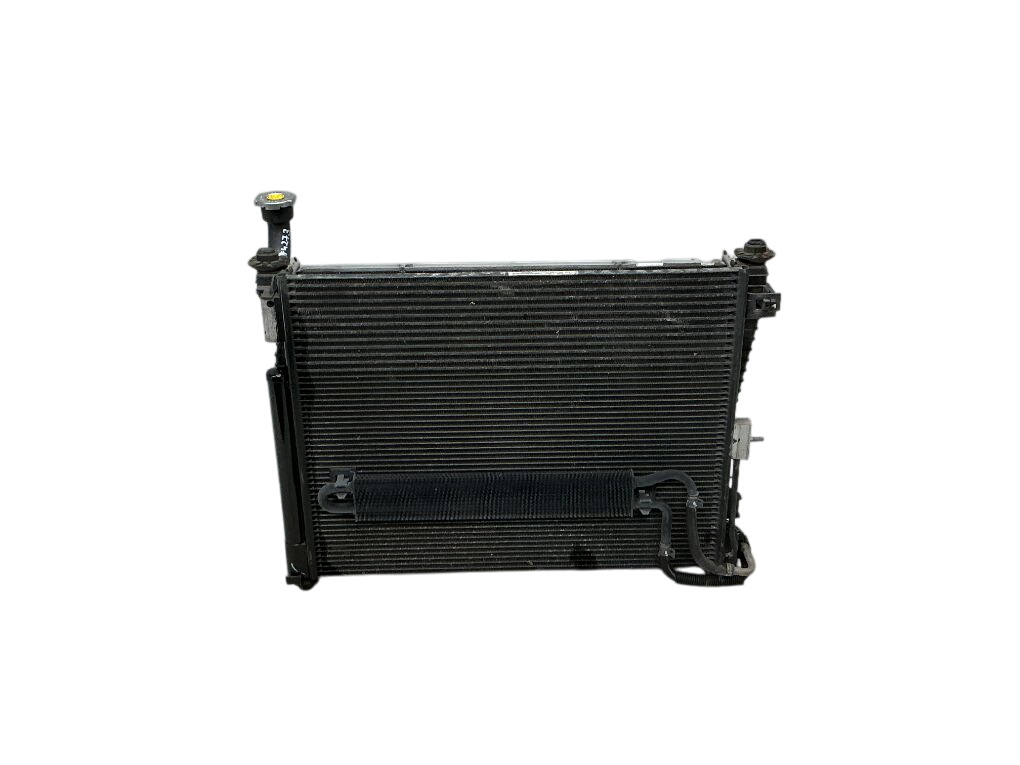Jeep Grand Cherokee (WK) Radiator set 55038003AG 52014529AB Radiator set JEEP GRAND C...
