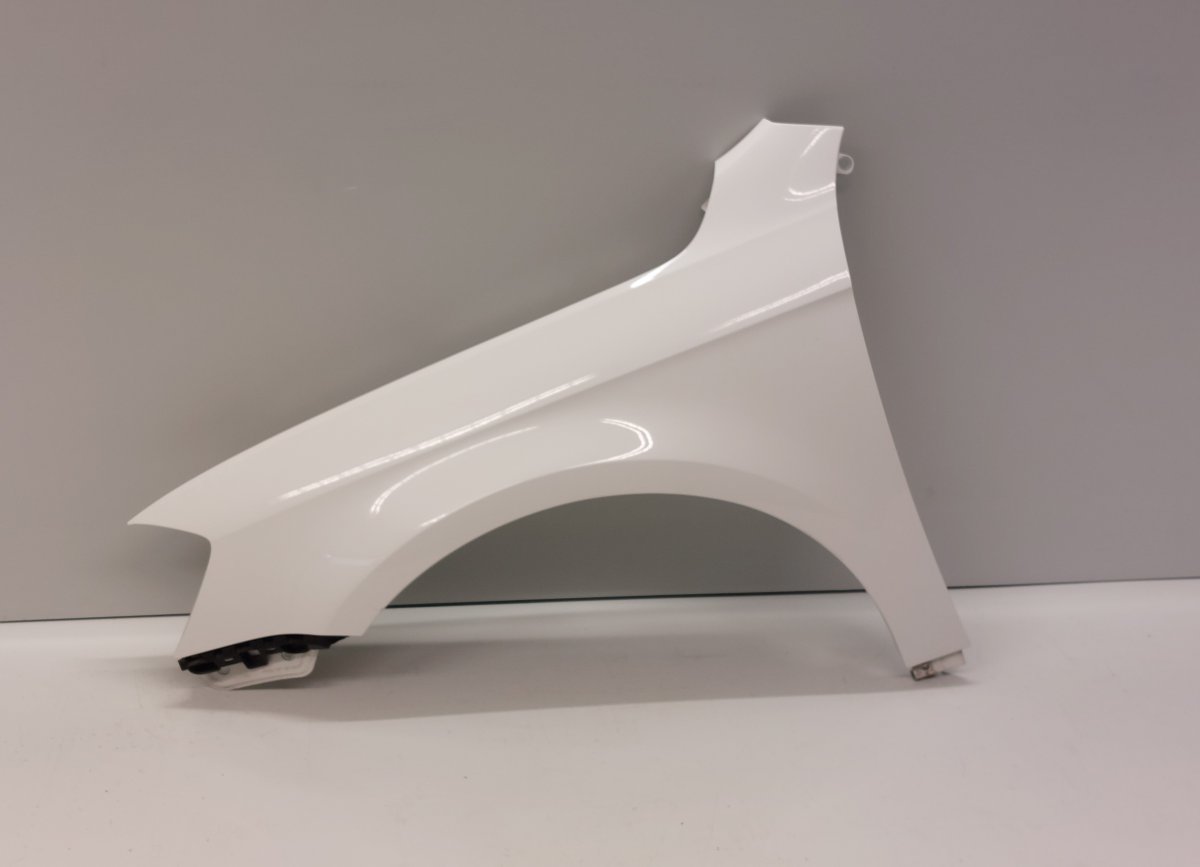 Volkswagen Passat (B7) Front Left Fender