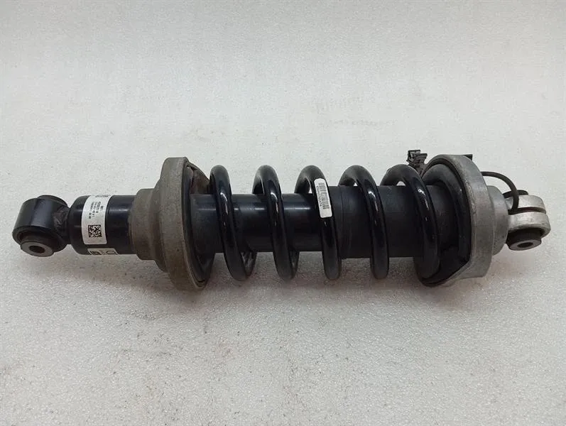 Lamborghini Huracan LP640 EVO shock absorber rear 4T7512019D shock absorber rear Brand/Model: LAMBORGHINI HURACAN
Year: 2020
Eng...