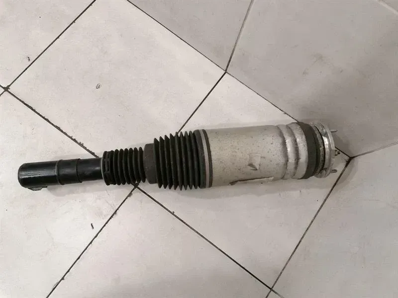 Land Rover Range Rover Sport (L494) Range Rover Sport L494 Shock Absorber Front FK6M-3C286-AC Shock Absorber Front Body type: SUV
Fuel: Petrol