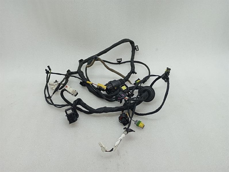 Ferrari California Wiring Loom Ferrari California T F149 14-17 Wiring Loom 311...