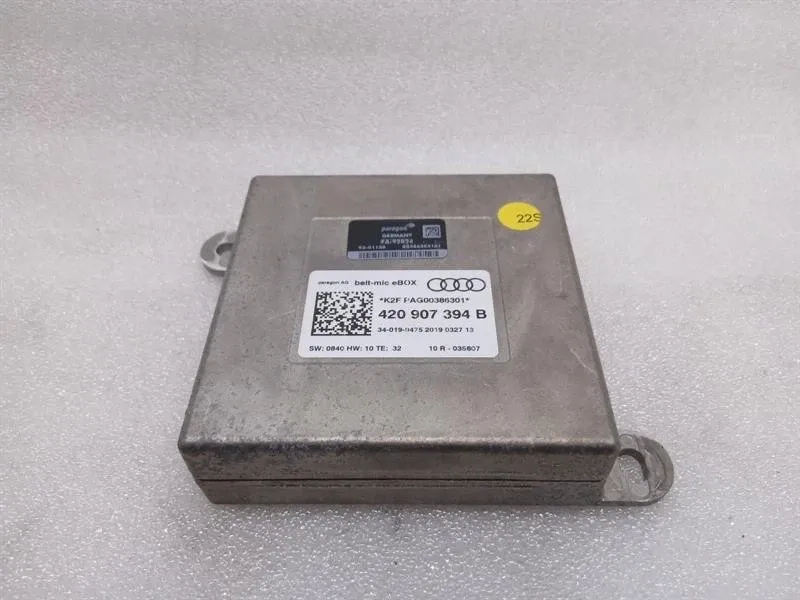 Audi R8 Audi R8 4S AWD electronic module 420907394B control unit