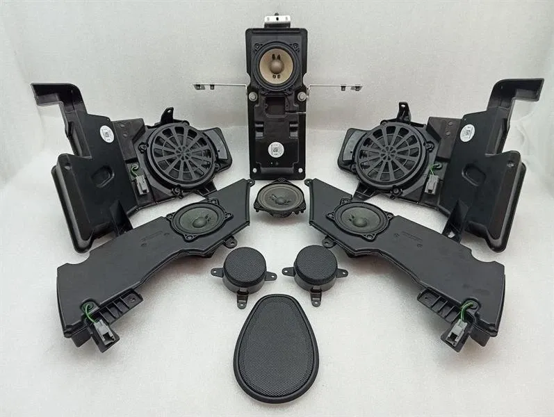 Aston Martin Vantage AM6 2018-2025 Speaker JY53-6696X-AA Speaker Set