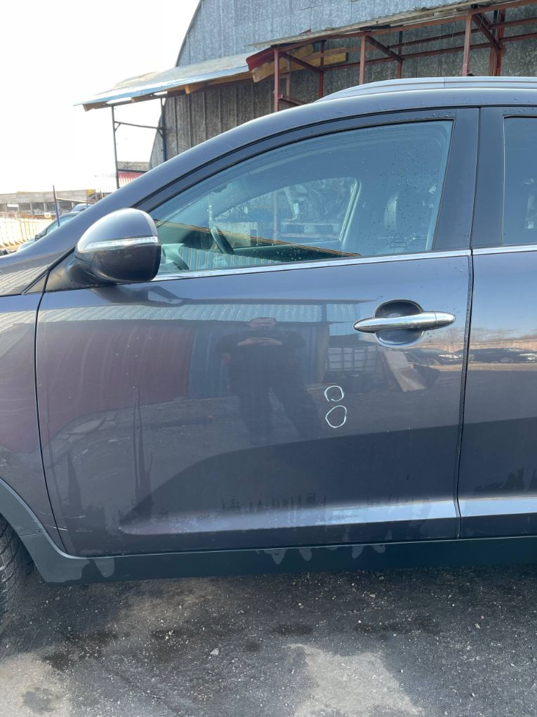 Kia Sportage Door Front Left