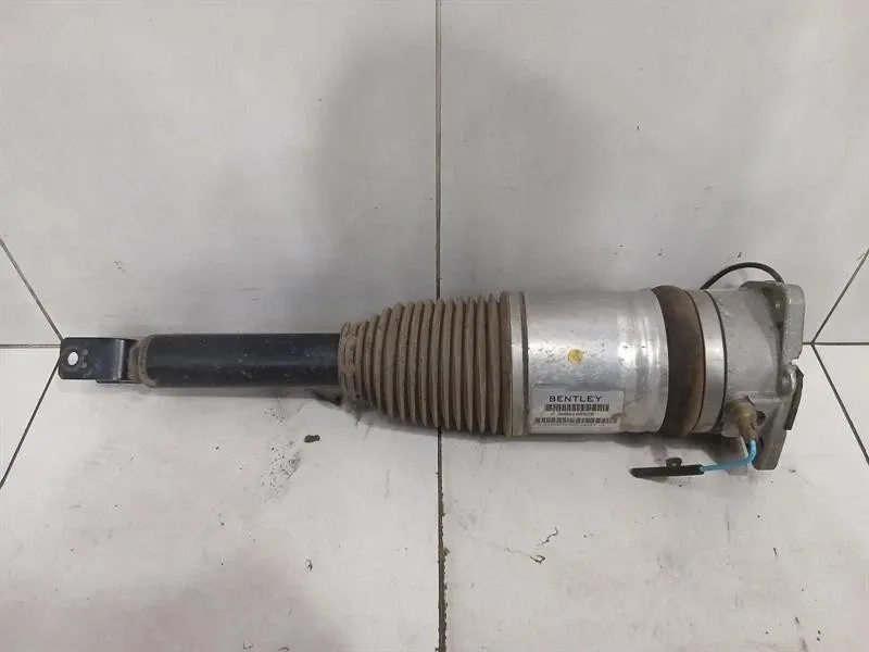 Bentley Continental GT, GTC, Flying Spur Bentley Continental GT W12 shock absorber rear 3W8616002B shock absorber rear Body type: Coupe
Fuel: Petrol