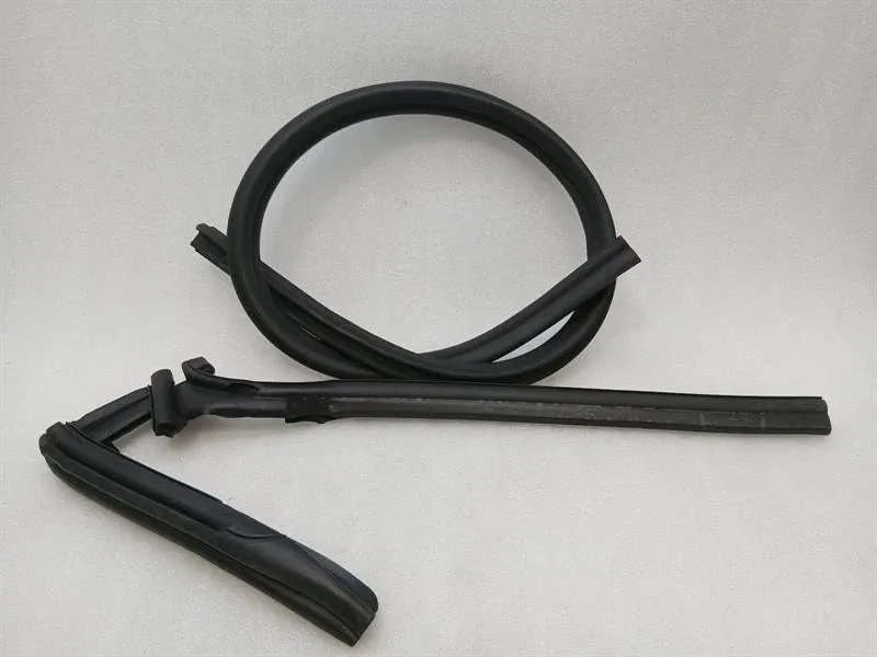 Ferrari 296 GTS F171 Door Seal 788058 LH Door Seals