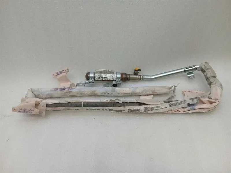 Audi R8 Audi R8 4S Performance module 4S0880742E right module right curtain