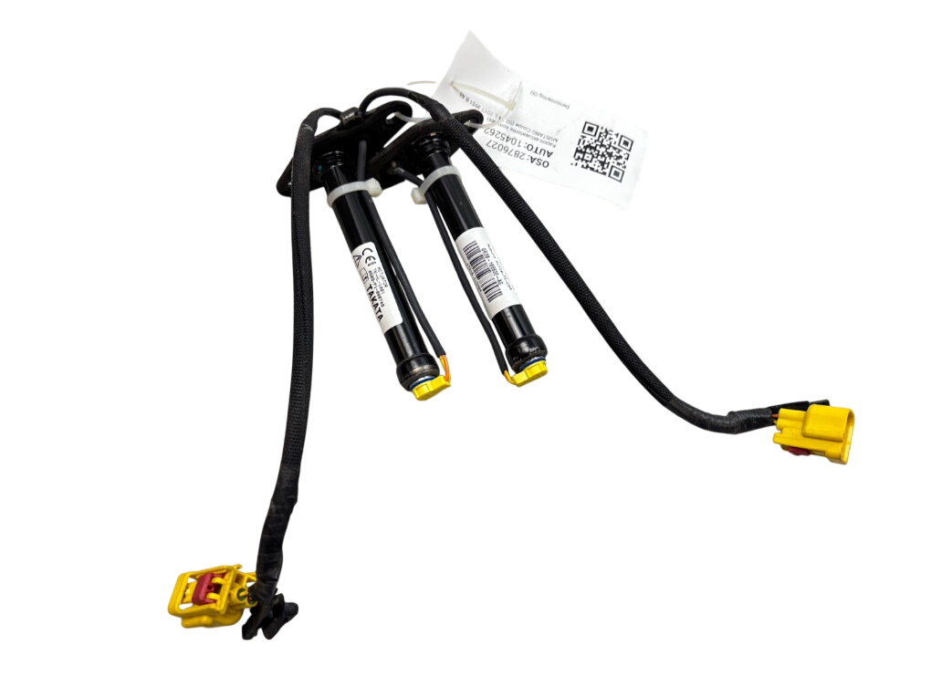 Ford Mustang Set of bonnet (hood) actuators 2609024 Set of bonnet (hood) actuators FORD MUS...