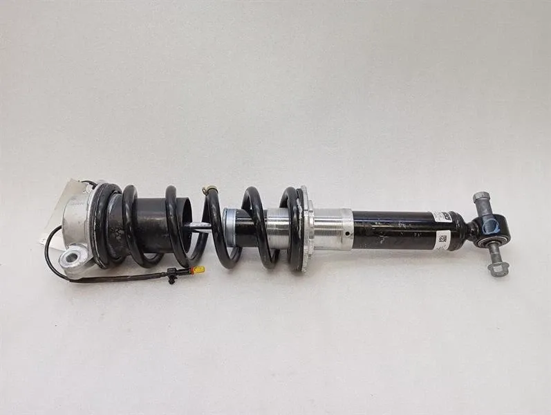 Ferrari Amalfi F169m shock absorber rear 326599 rear shock absorber