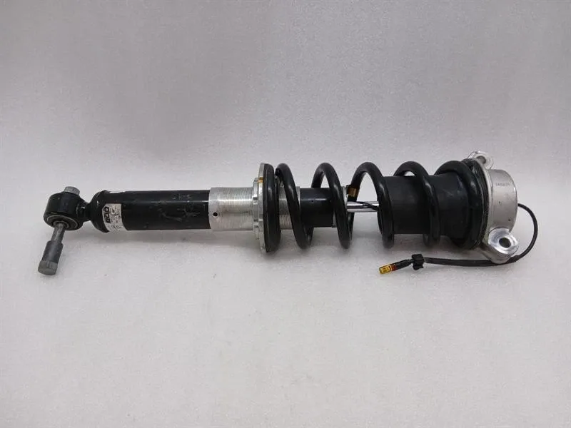 Ferrari Roma F169M Amalfi shock absorber rear 326599 shock absorber rear
