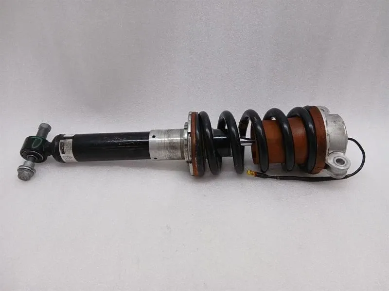 Ferrari shock absorber rear 55017932 173M 849 Testarossa shock absorber rear Brand/Model: FERRARI 296
Year: 2025
Engine: 299...