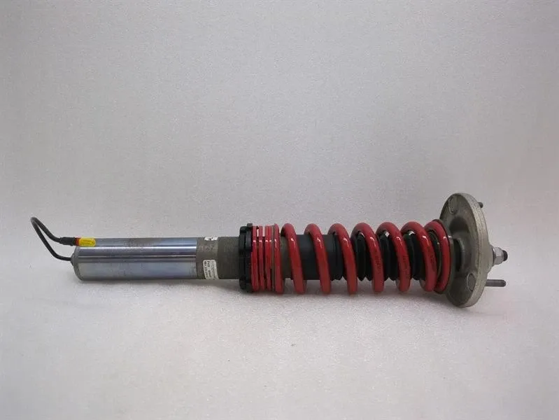 Porsche Boxster (981) Porsche Cayman 718 GT4 shock absorber rear 98133303596 shock absorber rear PASM
