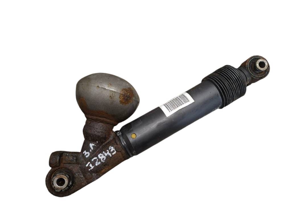 Citroen C5 Shock Absorber Rear Left