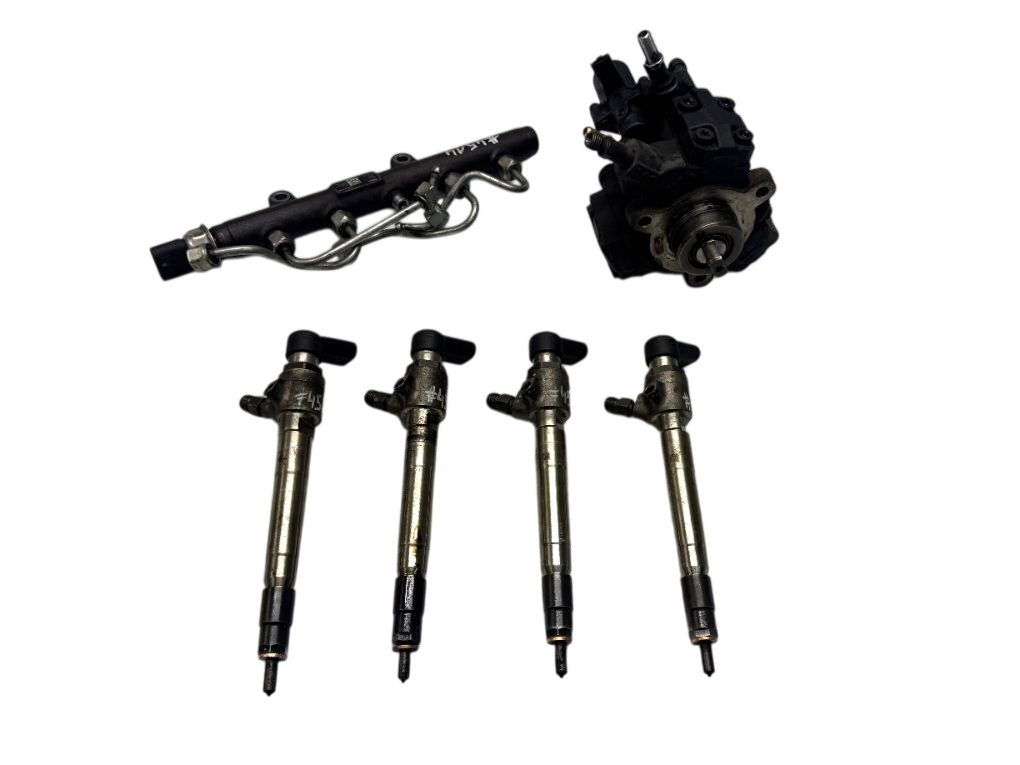 Ford Transit Connect / Tourneo Connect Fuel injector set
