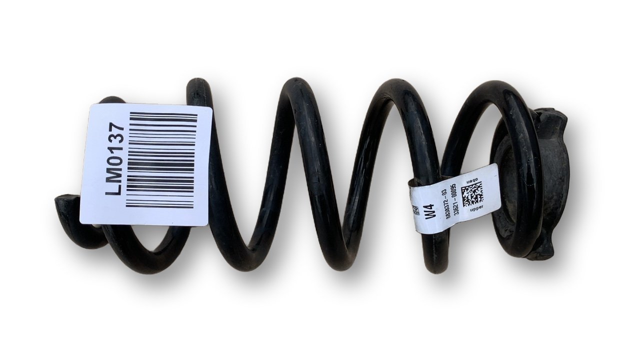 BMW X1 (E84) Rear coil spring