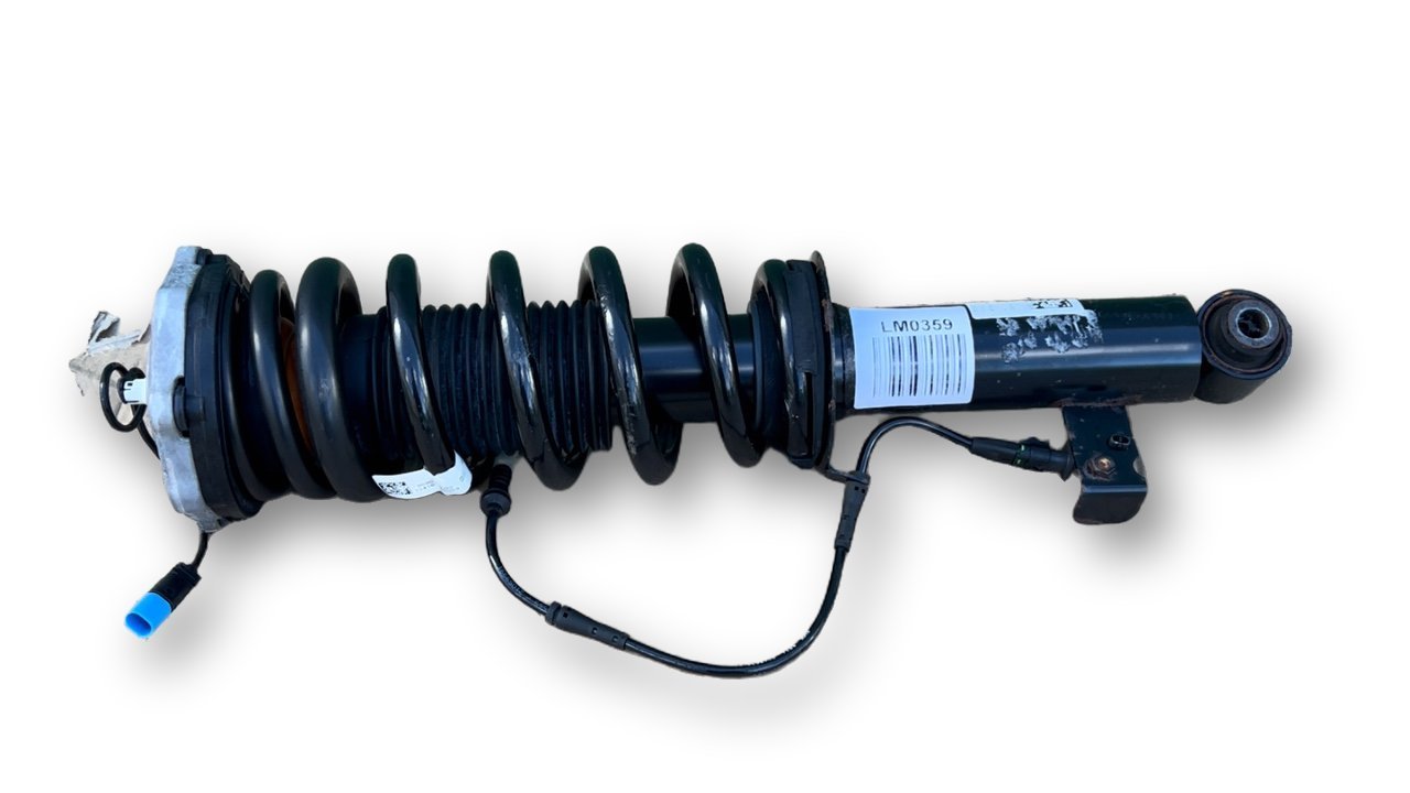 BMW X3 (E83) Rear shock absorber with coil spring