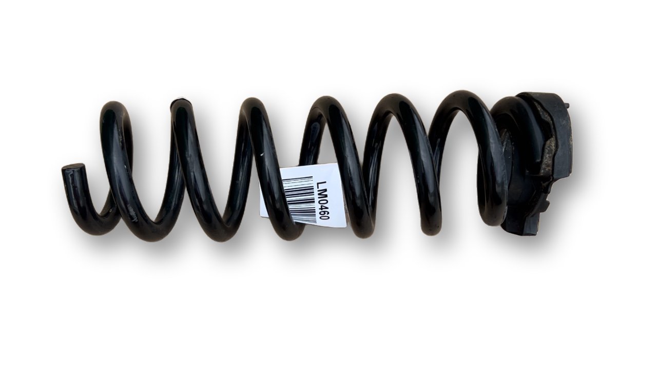 BMW Z4 (G29) Rear coil spring