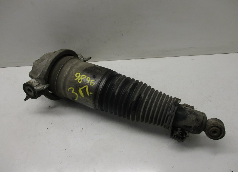 Volkswagen Touareg Shock Absorber Rear Right