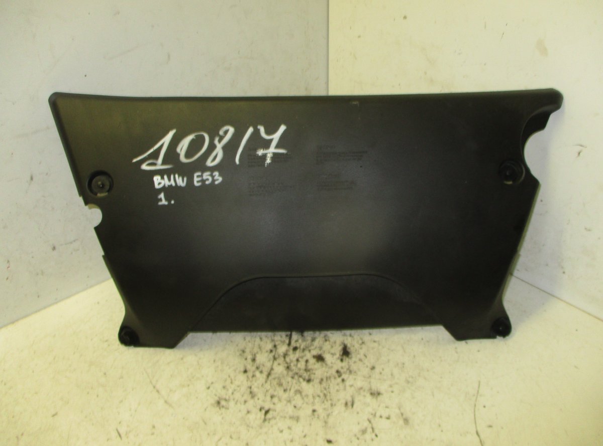 BMW X5 (E53) Air Cleaner (filter box)