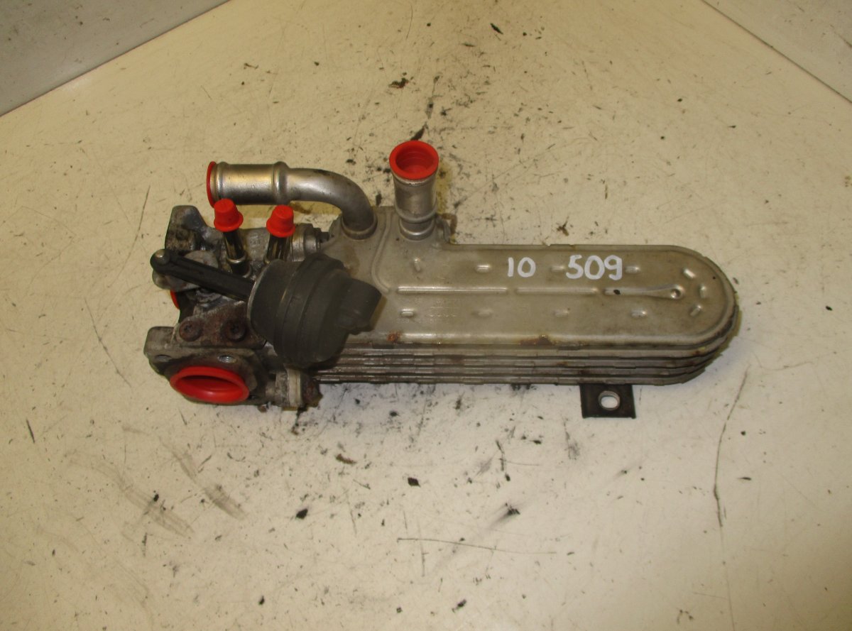 Volkswagen Passat EGR jäähtytin VW PASSAT B6 (3C) (2005-2010) EGR cooler 03G131...